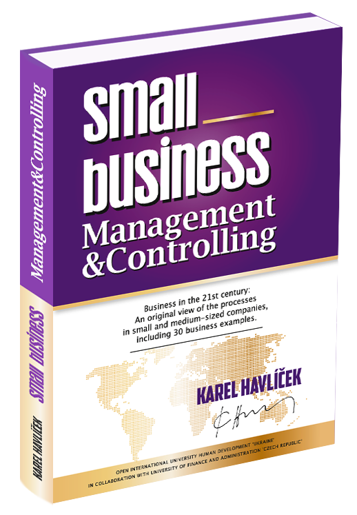 SME_management_and_controlling__Havl____ek_.png